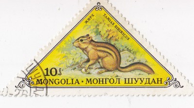Mongolsko 1973 мөнгө.jpg