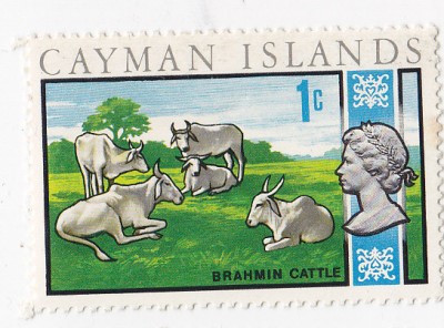 Kaymanské o-vy 1970 cent.jpg