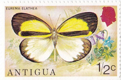 Antigua 1975 cent.jpg